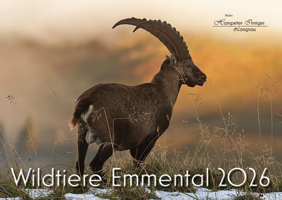 Wildtiere Kalender
