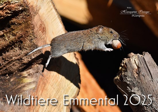 Inniger Kalender 2025 A3q