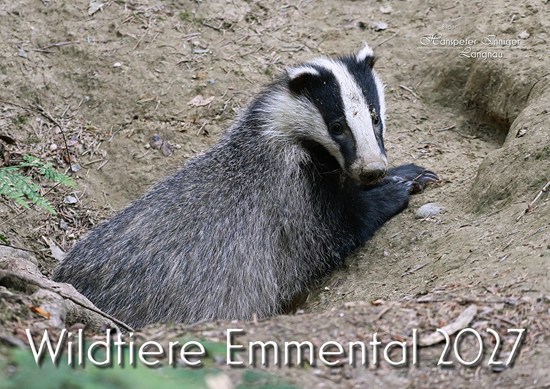 Inniger Kalender 0